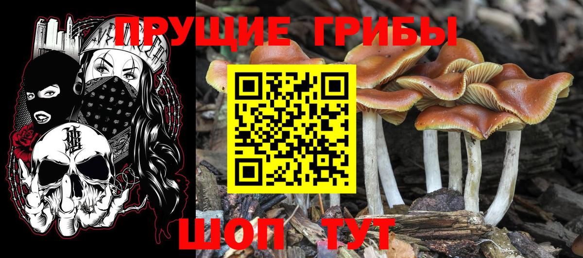 АМФЕТАМИН Лобня