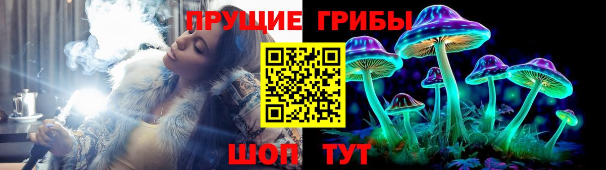 Лобня  Галлюциногенные грибы Psilocybine cubensis  Вход с VPN 